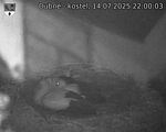 Capi_Dubne_20250714_220003.jpg