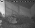 Capi_Dubne_20250714_222502.jpg