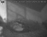 Capi_Dubne_20250714_224002.jpg