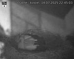 Capi_Dubne_20250714_224503.jpg