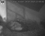 Capi_Dubne_20250714_230502.jpg