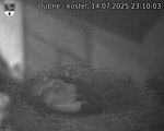 Capi_Dubne_20250714_231003.jpg