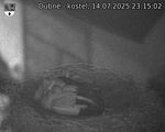 Capi_Dubne_20250714_231502.jpg