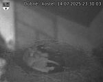 Capi_Dubne_20250714_233003.jpg