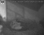 Capi_Dubne_20250714_233503.jpg