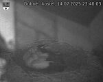 Capi_Dubne_20250714_234003.jpg