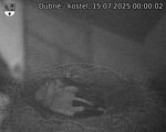 Capi_Dubne_20250715_000002.jpg