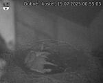 Capi_Dubne_20250715_005503.jpg