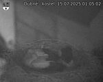 Capi_Dubne_20250715_010503.jpg