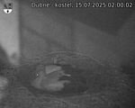 Capi_Dubne_20250715_020002.jpg