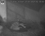Capi_Dubne_20250715_023003.jpg