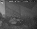 Capi_Dubne_20250715_025002.jpg
