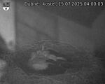 Capi_Dubne_20250715_040003.jpg