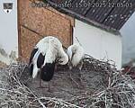 Capi_Dubne_20250715_120503.jpg
