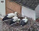 Capi_Dubne_20250715_125503.jpg
