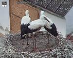 Capi_Dubne_20250715_133503.jpg