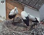 Capi_Dubne_20250715_135003.jpg