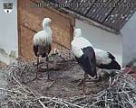 Capi_Dubne_20250715_135503.jpg