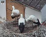 Capi_Dubne_20250715_140003.jpg