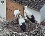 Capi_Dubne_20250715_141004.jpg