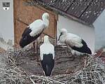 Capi_Dubne_20250715_142503.jpg