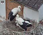 Capi_Dubne_20250715_143004.jpg