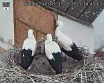 Capi_Dubne_20250715_144503.jpg