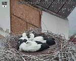 Capi_Dubne_20250715_145003.jpg