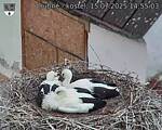 Capi_Dubne_20250715_145503.jpg