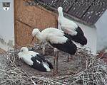 Capi_Dubne_20250715_151003.jpg