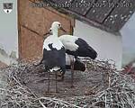 Capi_Dubne_20250715_152003.jpg