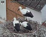 Capi_Dubne_20250715_153003.jpg