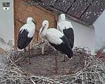 Capi_Dubne_20250715_155003.jpg