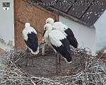 Capi_Dubne_20250715_155505.jpg