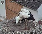 Capi_Dubne_20250715_160503.jpg