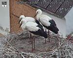 Capi_Dubne_20250715_161503.jpg