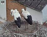 Capi_Dubne_20250715_162003.jpg