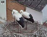 Capi_Dubne_20250715_163003.jpg