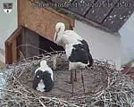 Capi_Dubne_20250715_163503.jpg