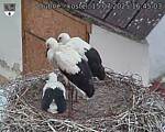 Capi_Dubne_20250715_164503.jpg