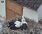 Capi_Dubne_20250715_173503.jpg