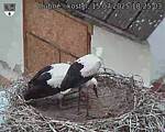Capi_Dubne_20250715_182503.jpg