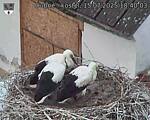 Capi_Dubne_20250715_184003.jpg