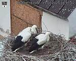 Capi_Dubne_20250715_184502.jpg