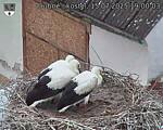 Capi_Dubne_20250715_190003.jpg