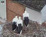Capi_Dubne_20250715_191503.jpg