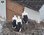 Capi_Dubne_20250715_192002.jpg