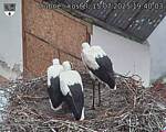 Capi_Dubne_20250715_194003.jpg