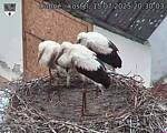 Capi_Dubne_20250715_203003.jpg