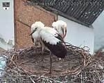 Capi_Dubne_20250715_205002.jpg